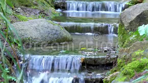 美丽的面纱瀑布苔藓岩石视频的预览图