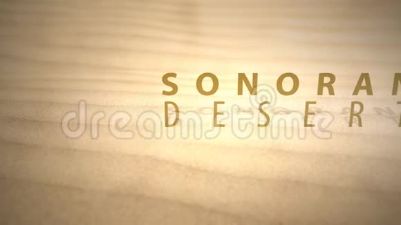 用文字滑过温暖的沙漠沙丘索诺兰沙漠视频的预览图