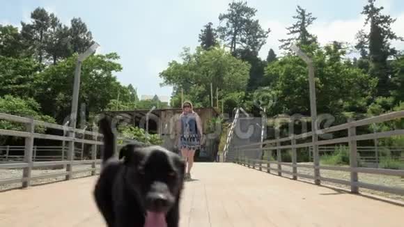 女孩和有趣的小狗在码头散步格鲁吉亚巴统视频的预览图