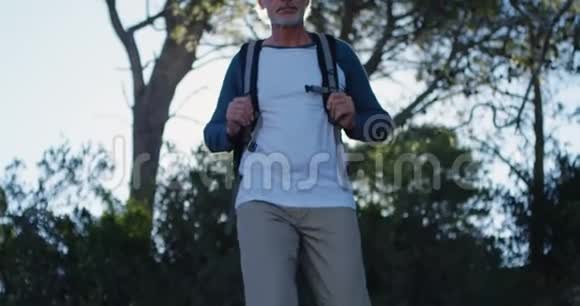 4k阳光明媚的一天老人在森林里徒步旅行视频的预览图