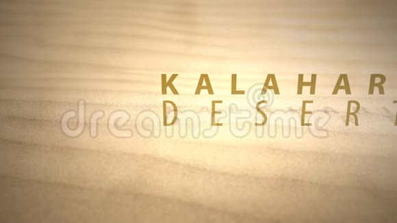 用文字滑过温暖的沙漠沙丘卡拉哈里沙漠视频的预览图