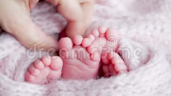 粉色高跟鞋两个宝宝视频的预览图