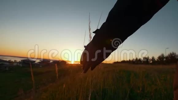 一个年轻的非洲男人在美丽的夕阳下走在田野里摸着钉子视频的预览图