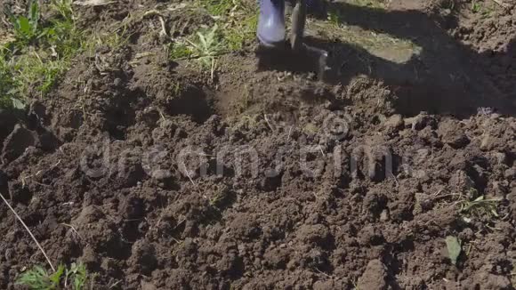女人用铲子在花园里工作农村地区播种季节视频的预览图