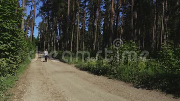 女徒步旅行者和北欧人在森林道路上行走视频的预览图