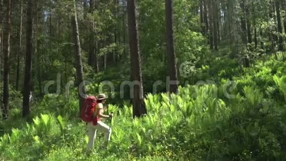 那个带着红色背包和旅游棒的旅行者的女人站在山上阿尔泰视频的预览图