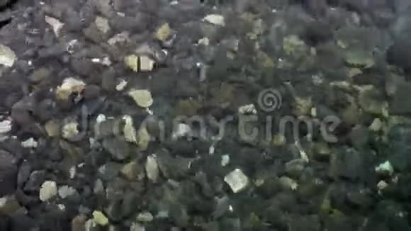 在贝加尔湖海岸干净透明的水下光滑的石头特写视频的预览图