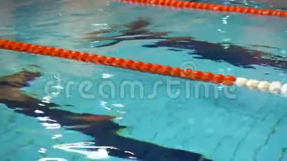 游泳池有蓝色的水用于运动游泳有跑道游泳池有清澈的水视频的预览图