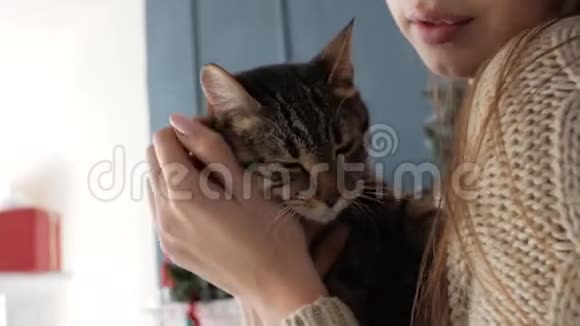 壁炉边有只猫的女孩新年视频的预览图
