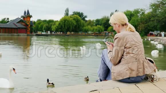 一直保持联系一个年轻的女人正在湖边休息用智能手机在天鹅附近游泳视频的预览图