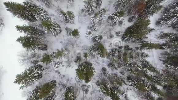 从低云层中可以看到一个多云雾蒙蒙的景观的无人机镜头视频的预览图