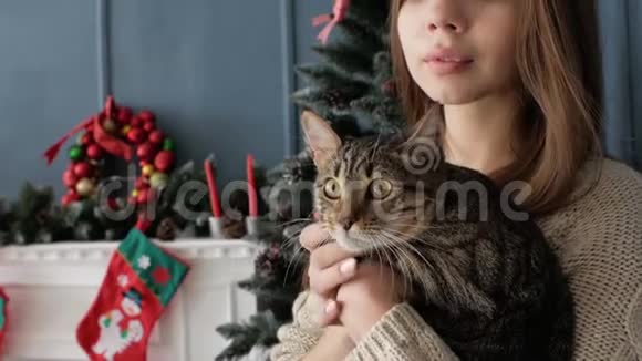 壁炉边有只猫的女孩新年视频的预览图