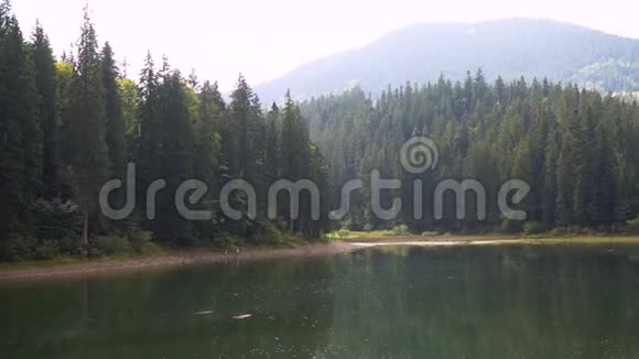 雪奈维尔高原湖泊和森林在夏日的平静水中反映出来4k视频视频的预览图