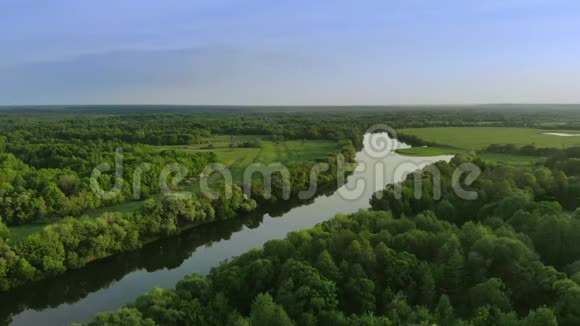 日落时在绿林中观赏美丽的河流景观视频的预览图