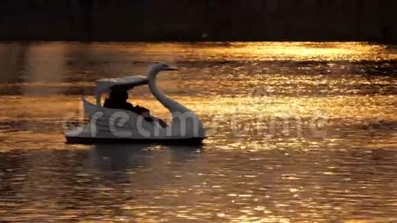 日落时在池塘上的天鹅船视频的预览图