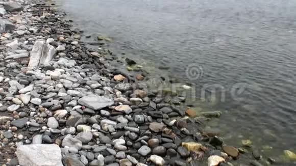 在贝加尔湖海岸干净透明的水下光滑的石头特写视频的预览图
