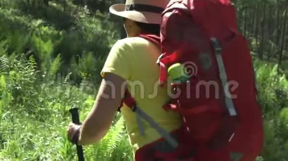 那个带着红色背包和旅游棒的旅行者的女人站在山上阿尔泰视频的预览图