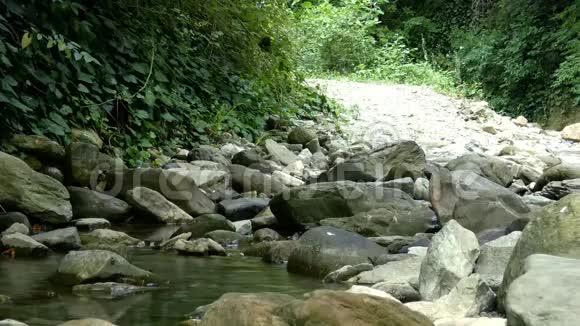 森林里的小溪后面的窄路视频的预览图