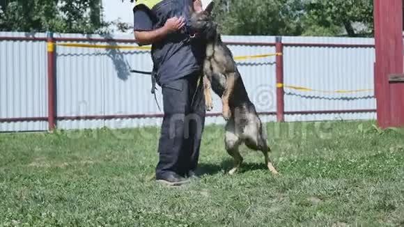 狗和训练员在院子里视频的预览图