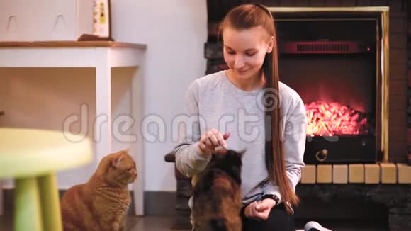 有只可爱的猫在壁炉旁休息的女人很多猫单身女人少女猫女视频的预览图