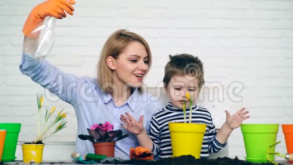 母亲和儿子正在夏天浇花幼苗的概念视频的预览图