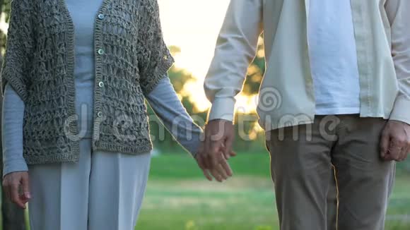 老夫妻牵着手在公园里散步在一起互相关心视频的预览图