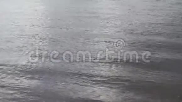 江水雨为夏浪视频的预览图