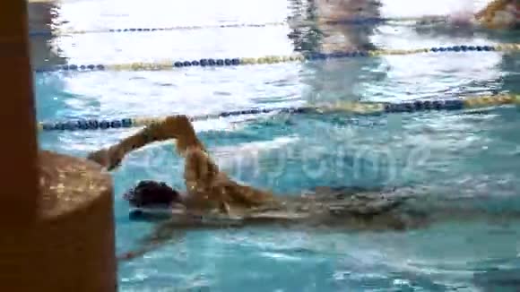 运动员游泳运动员在运动池中沿赛道进行游泳训练健康的生活方式理念蓝色游泳者清澈视频的预览图