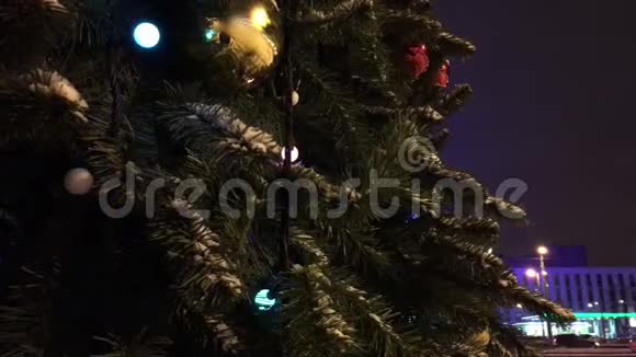 一棵大圣诞树视频的预览图