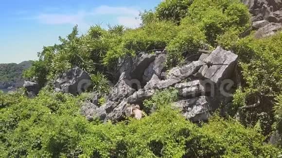 男子竞技女子攀岩大公鸡视频的预览图