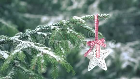 圣诞装饰明星挂在雪杉树上视频的预览图