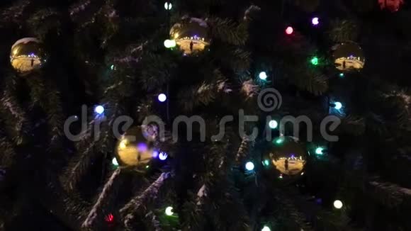 一棵大圣诞树视频的预览图