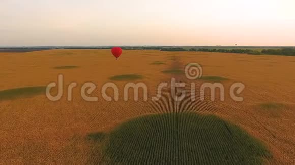 红色热气球漂浮在金色的田野上个人旅游浪漫的约会视频的预览图
