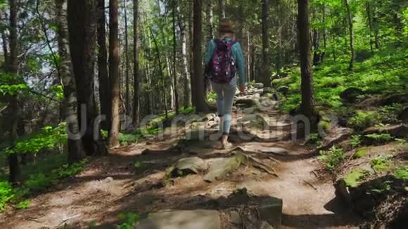 在一个阳光明媚的日子里美丽的年轻旅游女孩带着一个背包时尚的女人穿过森林背景视频的预览图