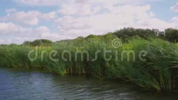 刮风的一天河岸上的树木和芦苇的船影视频的预览图