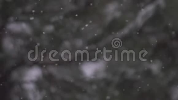 雪花缓慢落在树枝上的粒子背景视频的预览图