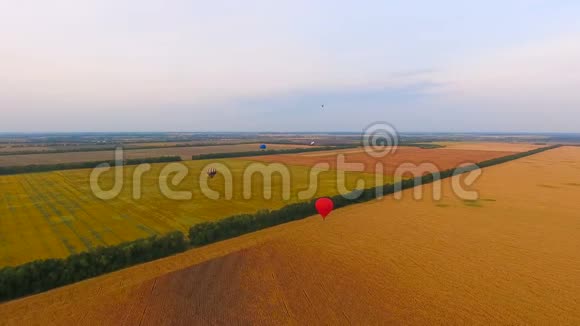 几个热气球飞过广袤的田野富饶的农业视频的预览图