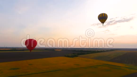 两个气球飞过田野和电线国家发展视频的预览图