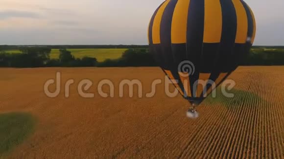空中气球飞过被树线隔开的田野气球飞升冠军视频的预览图