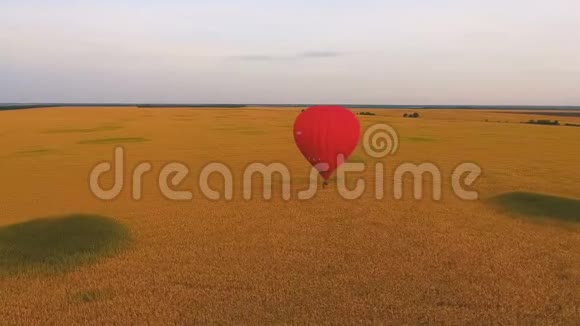 热气球低浮在金色的田野上享受孤独分散注意力视频的预览图