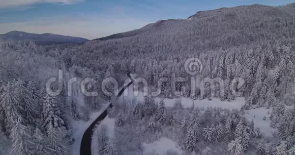 4k鸟瞰冰冻森林冬季奇观地冬季漫步地视频的预览图