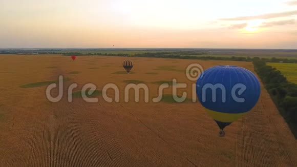 几个气球飞过田野娱乐节目自然设施视频的预览图