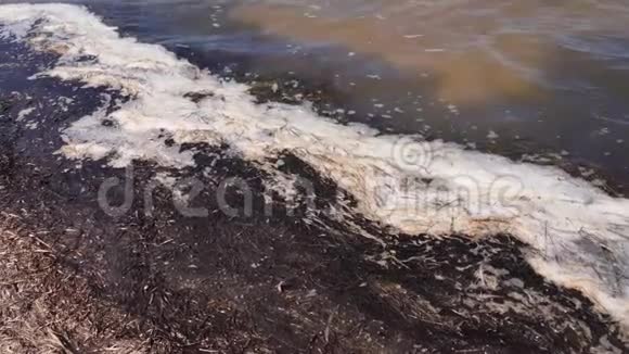 河流海洋湖泊池塘的水污染视频的预览图
