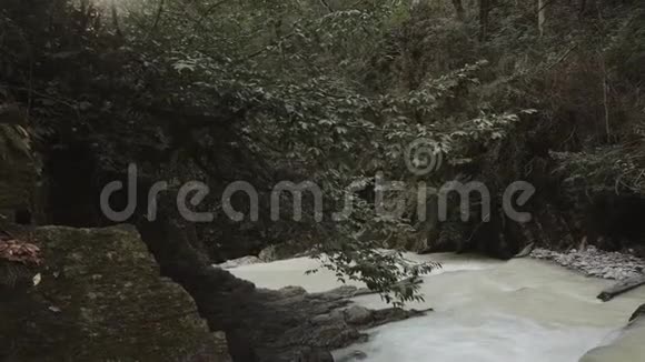 美丽的风景在秋天或春天的时候水落下瀑布视频的预览图