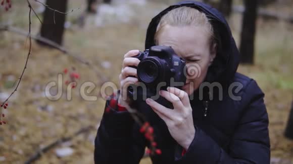 慢动作电影镜头女孩摄影师在森林里拍摄秋天自然的照片给浆果拍照视频的预览图