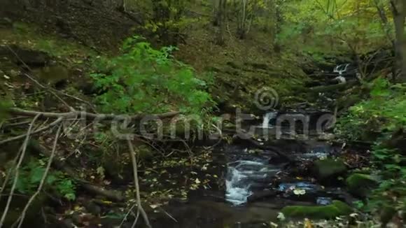 秋天清澈的水流在山间小溪里喀尔巴阡山视频的预览图