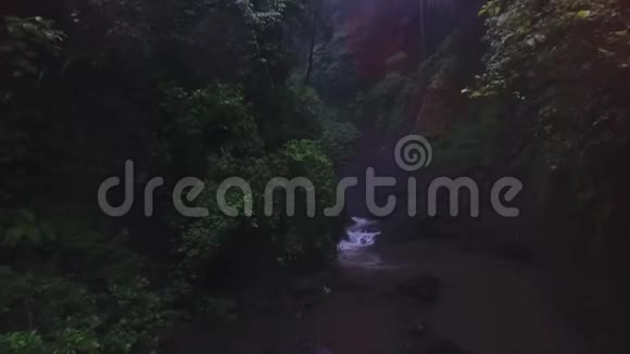 一条条小河从山上流下来周围是树影和灌木丛视频的预览图