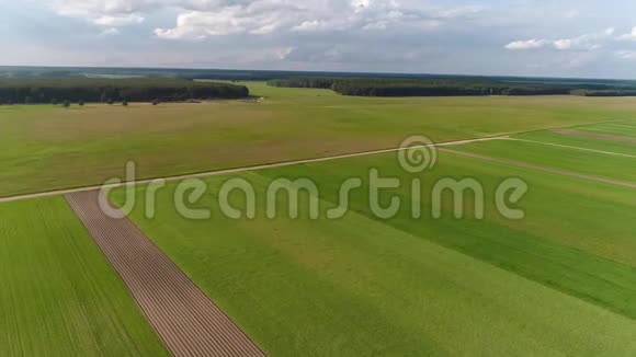 农田的空中镜头晴天视频的预览图