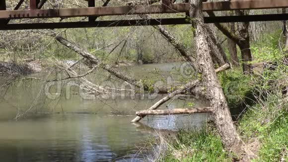 佐治亚州奥尔德洛普磨坊路公园断了的枯树悬在小河里视频的预览图