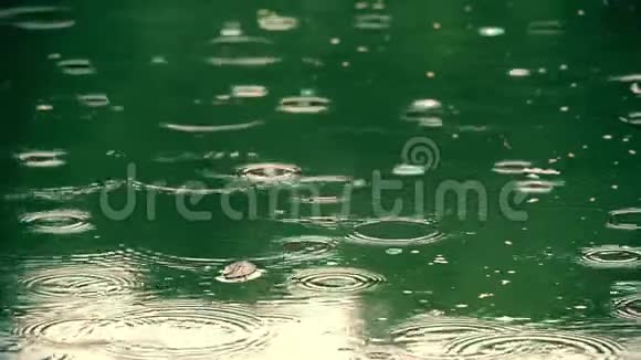 雨水滴在水面上视频的预览图